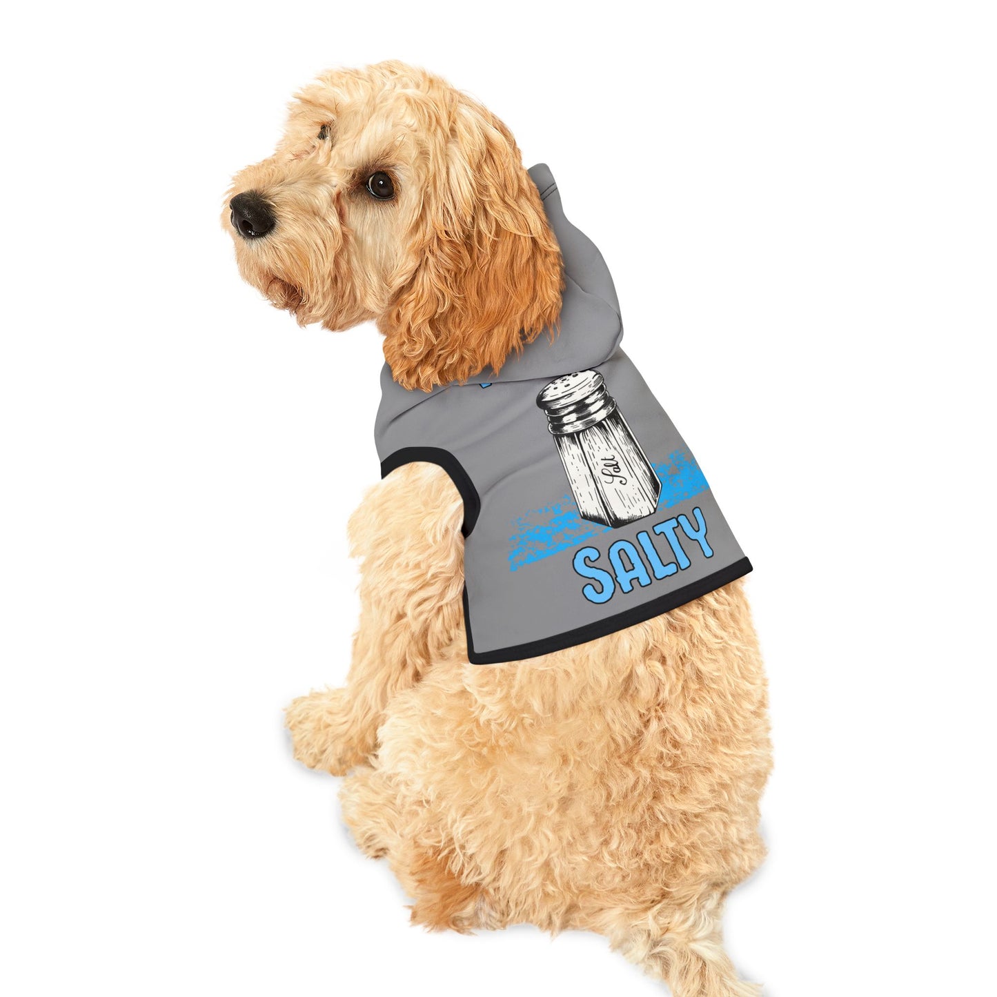 Why So Salty- Pet Hoodie